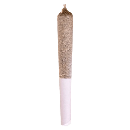 A close-up, side view of the Beaver Tail Pre Rolled 1 x 0.5 g pre-roll, showcasing its tightly-rolled, cylindrical form.