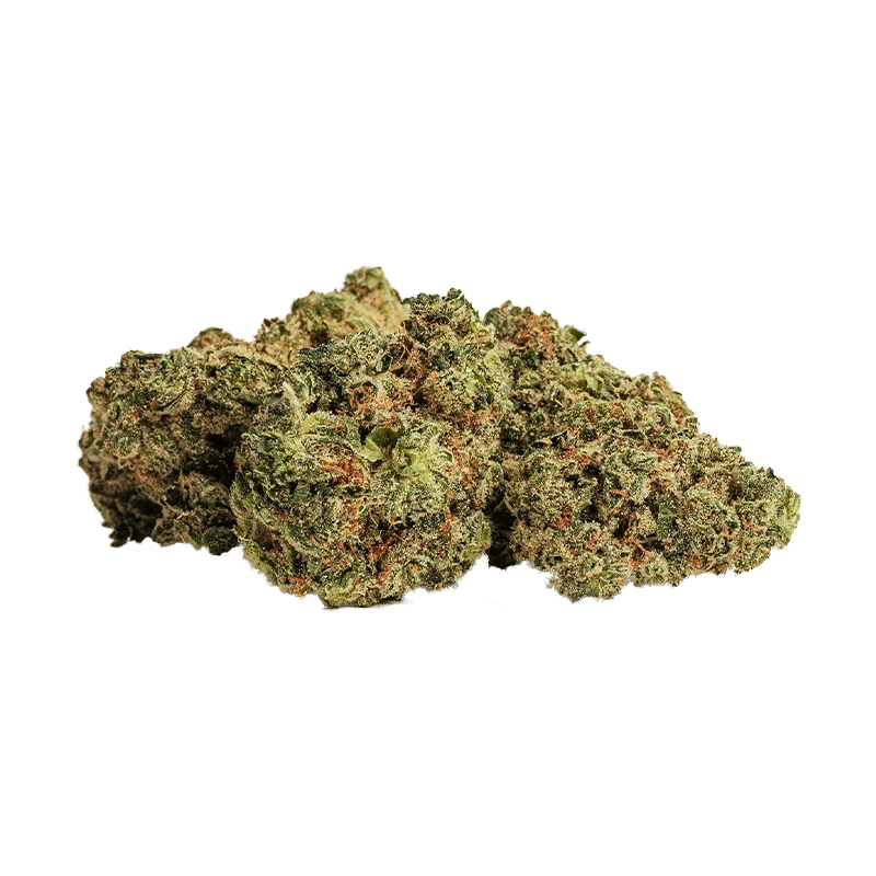 Close-up of three dense green and orange nugs of Root Beer Float clustered on a white background.