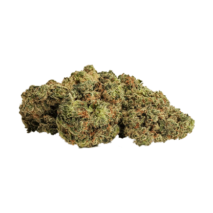 Close-up of three dense green and orange nugs of Root Beer Float clustered on a white background.