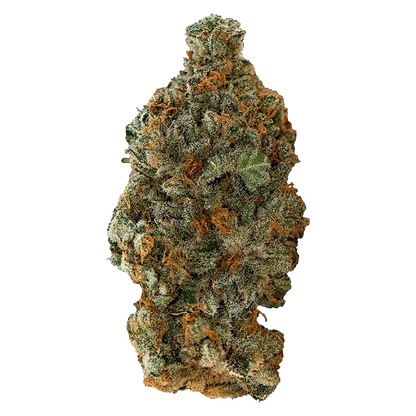 Close-up top-down view of a single dense "Girl Scout Cookies" bud showing frosty trichomes and orange pistils against a transparent background