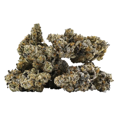 BC 1/2 Oz 14 g Red Slushie Flower