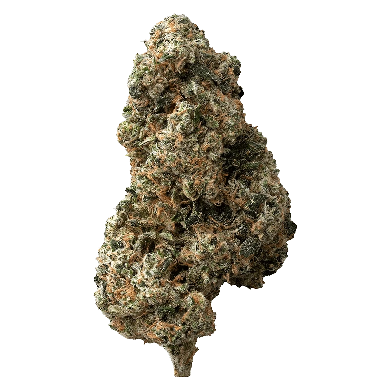 The Loud Plug 28 g Sticky Bunz Flower