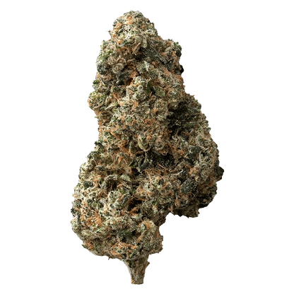 The Loud Plug 28 g Sticky Bunz Flower