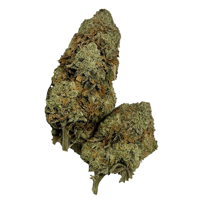 Close-up of two dense, frosty buds of CBD Super Lemon Haze shown against a transparent background, highlighting green and amber trichomes.