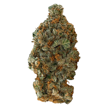 Close-up front view of a dense, frosty "Girl Scout Cookies" cannabis bud with orange pistils and green trichome-coated leaves.