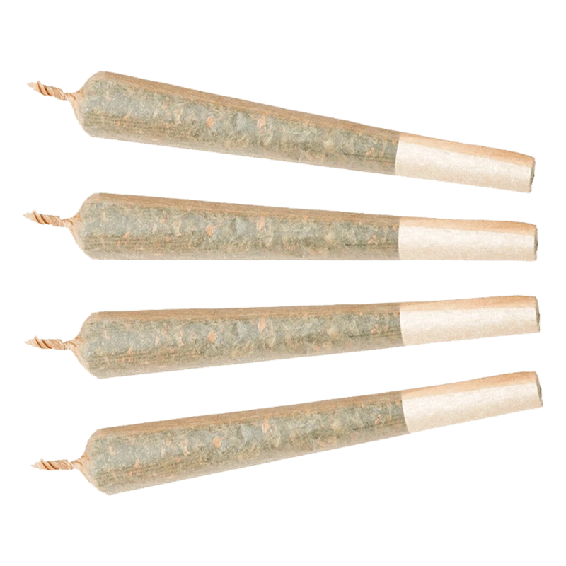 Top-down view of four twisted-tip Quick Rips PR 4 x 0.5 g pre-rolls aligned horizontally on a pale background.