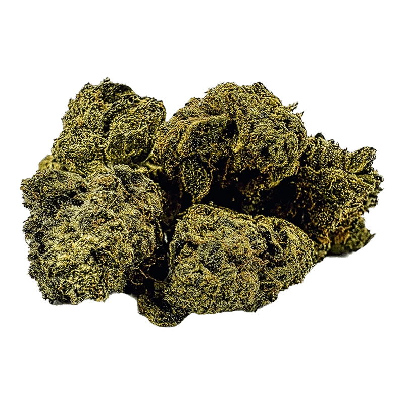 Close-up of a dense cluster of greenish-brown buds photographed against a plain background, showing texture and trichomes on the Anti Gravity.