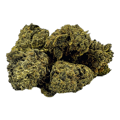 Close-up of a dense cluster of greenish-brown buds photographed against a plain background, showing texture and trichomes on the Anti Gravity.