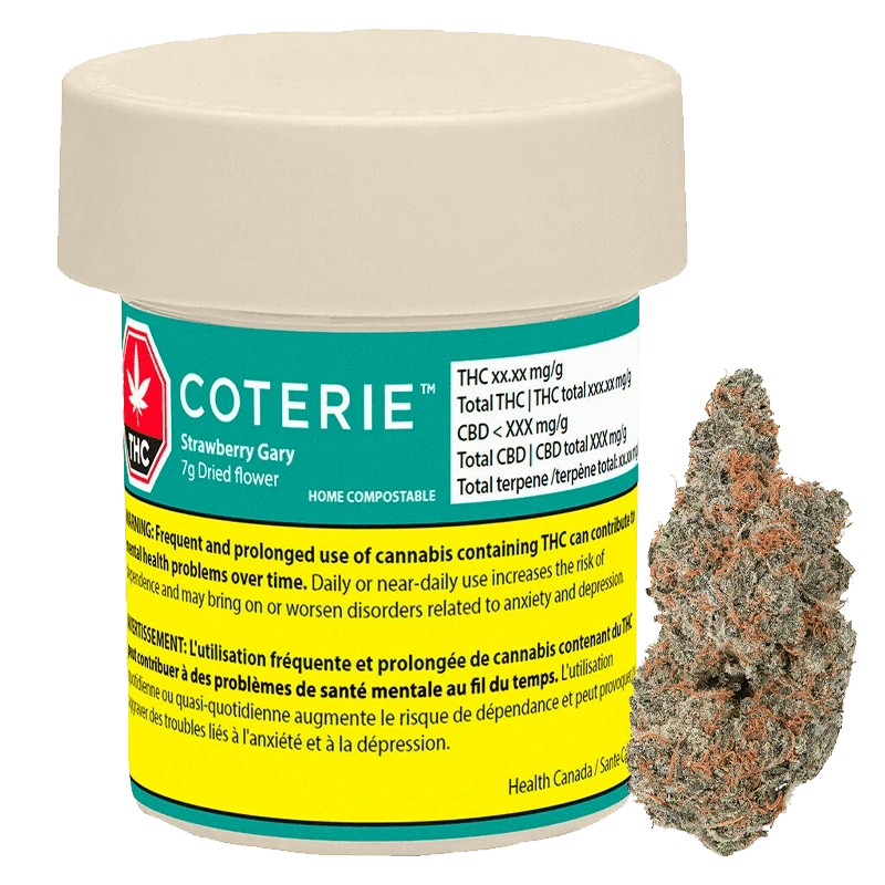 Coterie 7 g Strawberry Gary Flower