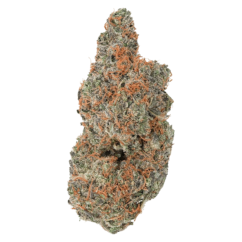 Coterie 7 g Strawberry Gary Flower