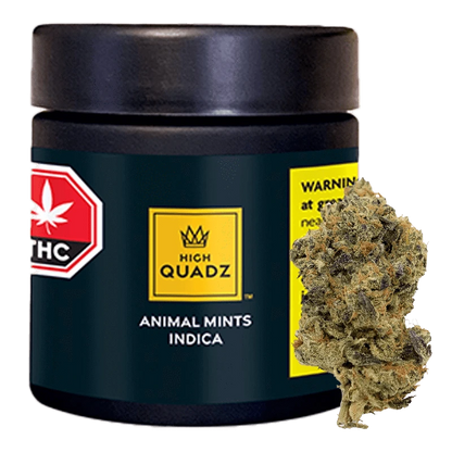 High Quadz 3.5 g Animal Mints Flower