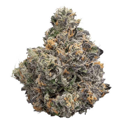 Close-up front view of a frosty bud of BC Organic Sunset Runtz showing dense purple and green leaves with orange pistils.