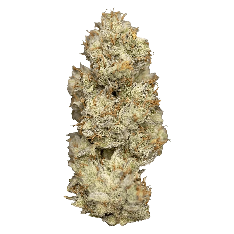 NugZ 7 g Wagyu Delight Flower