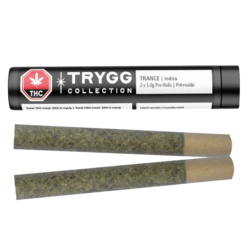Horizontal view of a black tube labeled Trygg Collection Trance PR 2 x 1 g above two rolled pre-rolls with visible brown tips and green herb filling.