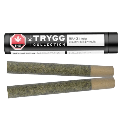 Horizontal view of a black tube labeled Trygg Collection Trance PR 2 x 1 g above two rolled pre-rolls with visible brown tips and green herb filling.