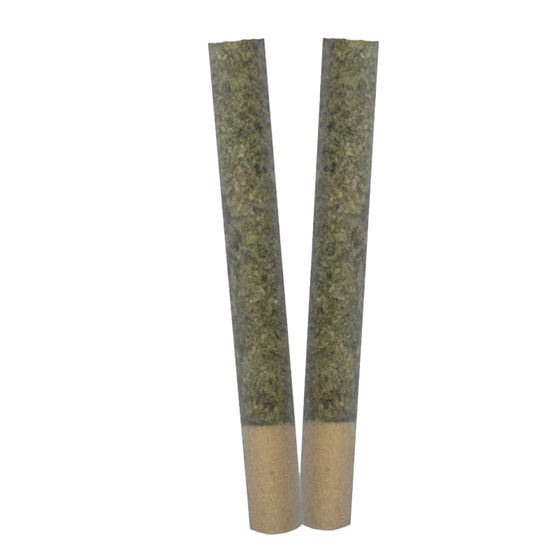 Top-down view of two green-filled Trance PR 2 x 1 g pre-rolls standing side by side against a neutral background