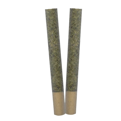 Top-down view of two green-filled Trance PR 2 x 1 g pre-rolls standing side by side against a neutral background