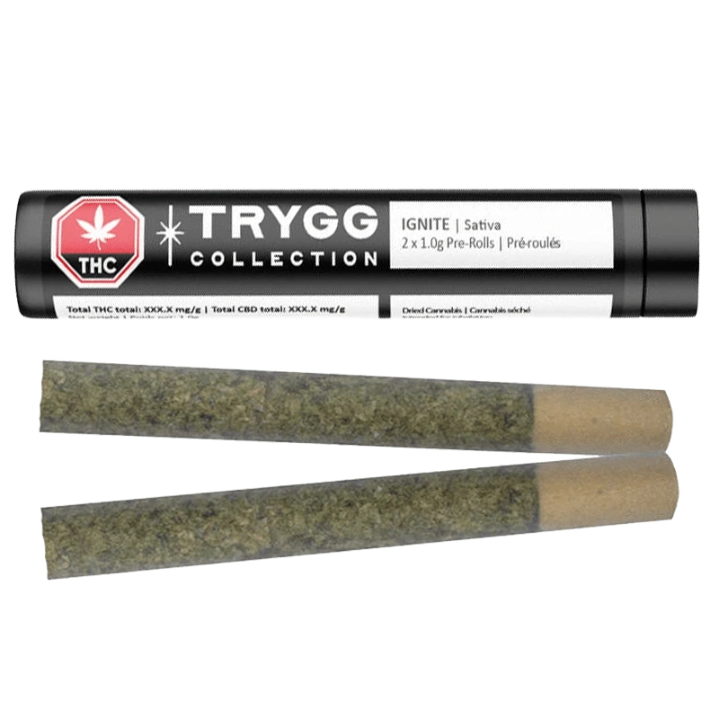 Trygg 2  g Ignite PR 2 x 1 g Pre-Rolls