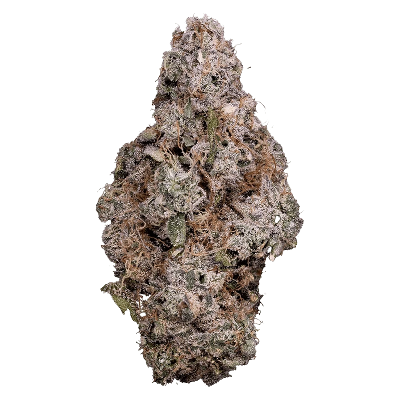 Tribal 3.5 g Porto Leche Flower