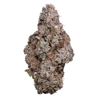 Tribal 3.5 g Porto Leche Flower