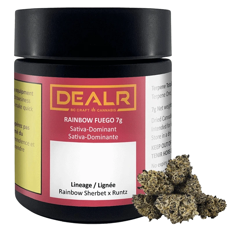 DEALR 7 g Rainbow Fuego Flower