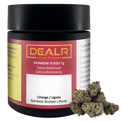 DEALR 7 g Rainbow Fuego Flower