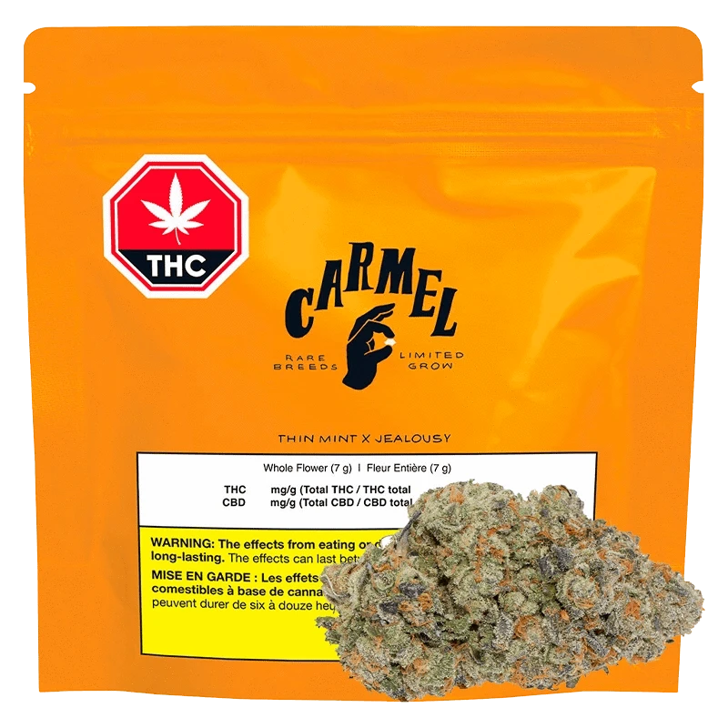 Carmel 7 g Thin Mint x Jealousy Flower
