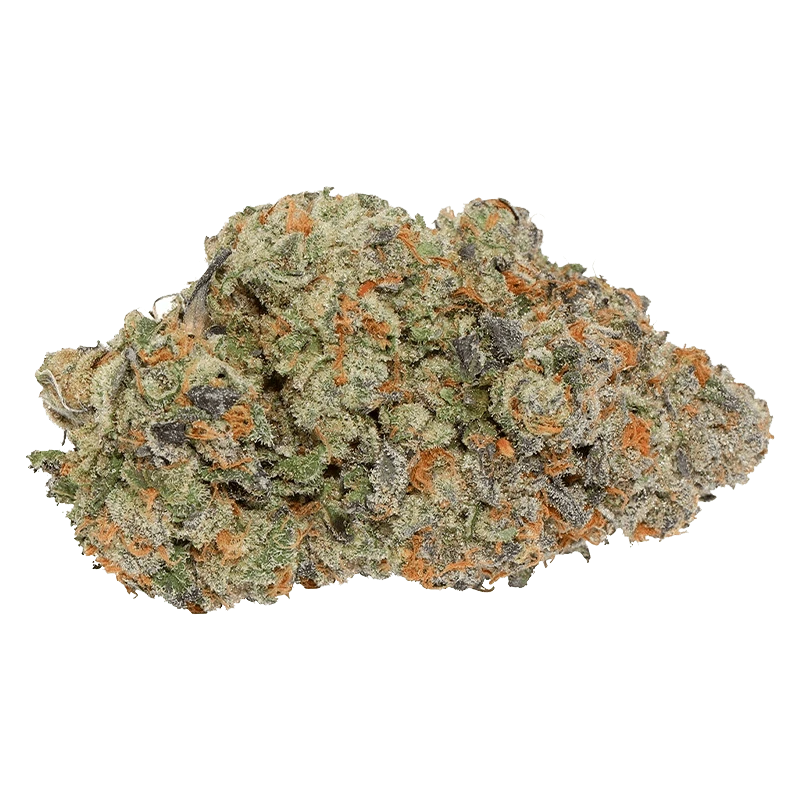 Carmel 7 g Thin Mint x Jealousy Flower