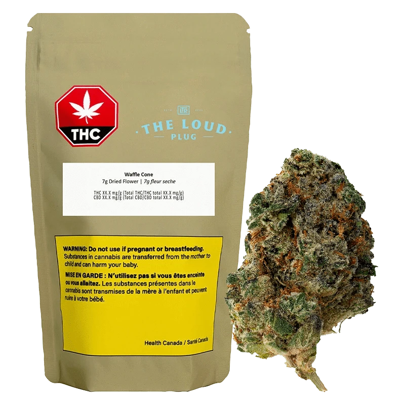 Front-facing pouch and single bud photographed on white; the Waffle Cone packet from The Loud Plug shows a red THC symbol, product label and yellow warning panel.
