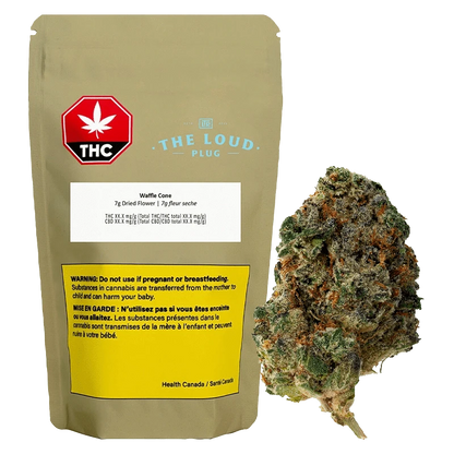 Front-facing pouch and single bud photographed on white; the Waffle Cone packet from The Loud Plug shows a red THC symbol, product label and yellow warning panel.