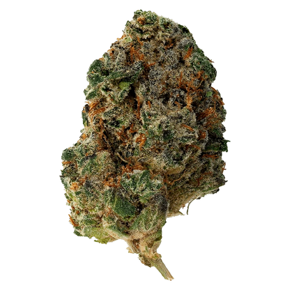 Close-up of a single "Waffle Cone" bud showing dense green, frosty trichomes and orange hairs against a plain background.