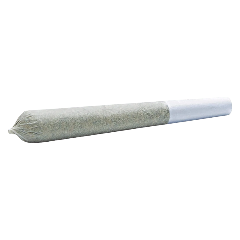 Angled close-up of a pre-rolled joint showing its twisted tip and white filter, labeled Purple Trainwreck PR 10 X 0.3 g.