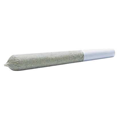 Angled close-up of a pre-rolled joint showing its twisted tip and white filter, labeled Purple Trainwreck PR 10 X 0.3 g.