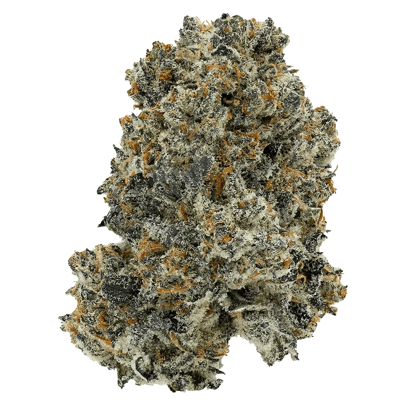 Crooked Dory 28 g Dreamcatcher Flower