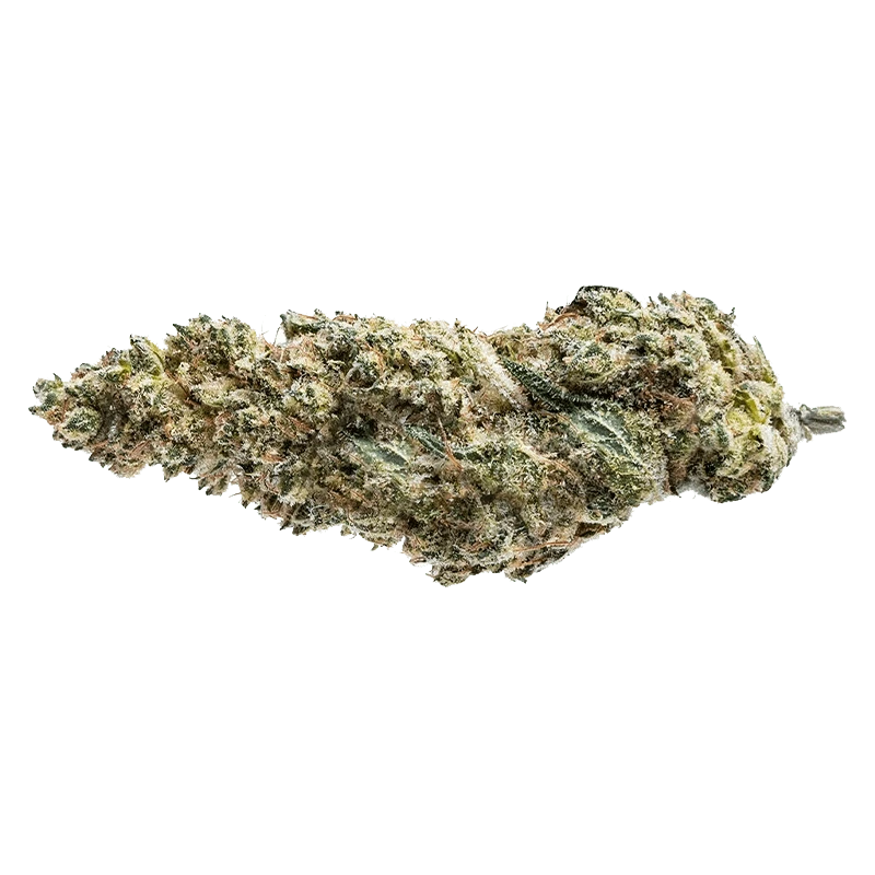 Pure Sunfarms 28 g Blue Dream #16 Flower