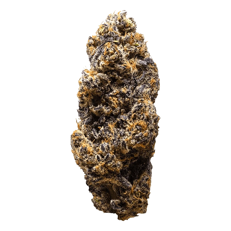 3rd Coast Genetics 14 g Frozen Cola Flower