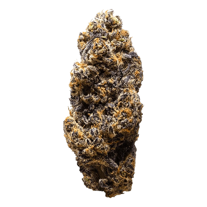 3rd Coast Genetics 14 g Frozen Cola Flower