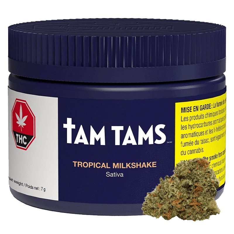 Front view of a navy jar labeled "Tam Tams Tropical Milkshake" with a ridged lid, warning label at right and cannabis bud at the base.