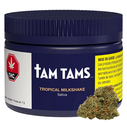 Front view of a navy jar labeled "Tam Tams Tropical Milkshake" with a ridged lid, warning label at right and cannabis bud at the base.