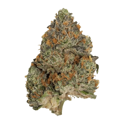 Pistol and Paris 7 g Blue Zushi Flower