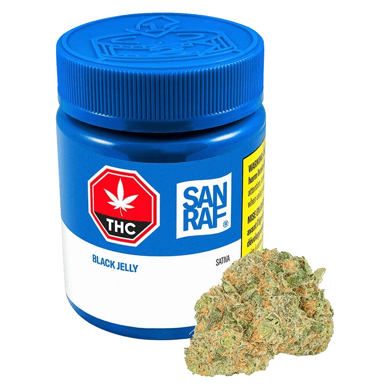 Front three-quarter view of a blue San Raf Black Jelly jar with label details visible and a cannabis bud positioned at its base.