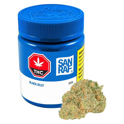 Front three-quarter view of a blue San Raf Black Jelly jar with label details visible and a cannabis bud positioned at its base.