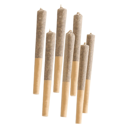 Woody Nelson 3.5 g Country Club PR 7 x 0.5 g Pre-Rolls