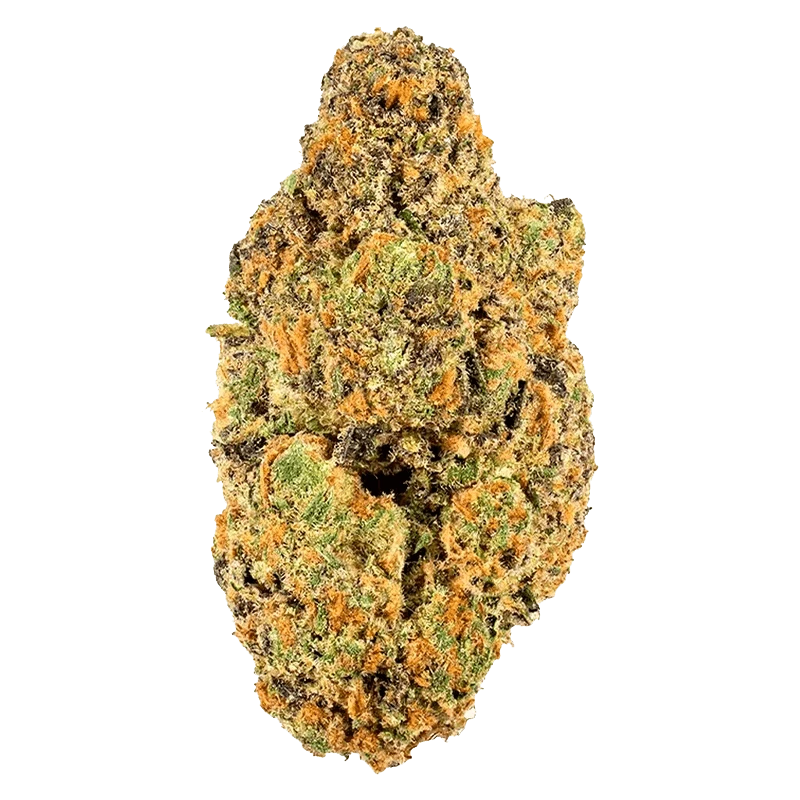 Close-up front view of the dense, trichome-coated Coffin Candy bud showing green, purple, and bright orange hairs against a neutral background