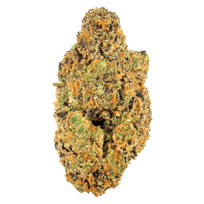 Close-up front view of the dense, trichome-coated Coffin Candy bud showing green, purple, and bright orange hairs against a neutral background