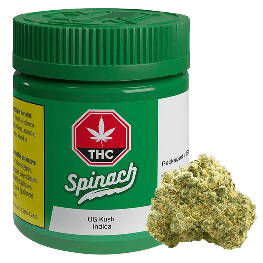 Front-three-quarter view of a green Spinach OG Kush container with a matching ribbed lid and a cannabis bud resting beside it.