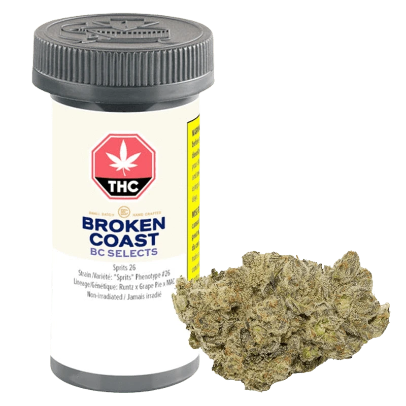 Front-facing image of a plastic jar and a single dense nug, labeled BC Selects: Sprits 26, against a plain light background