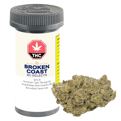Front-facing image of a plastic jar and a single dense nug, labeled BC Selects: Sprits 26, against a plain light background
