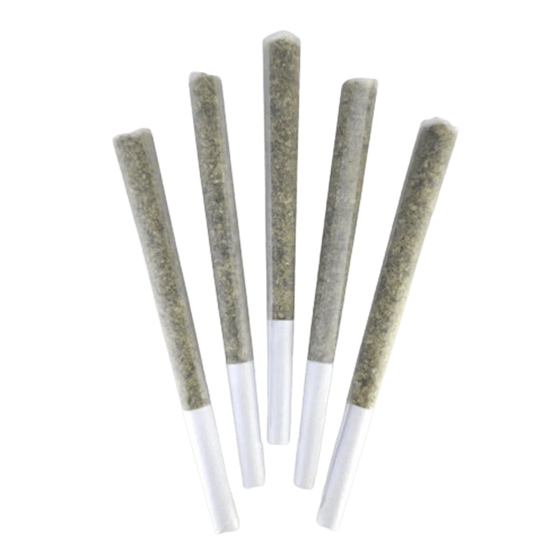 DEALR 2.5 g Super Silver Bubba PR 5 x 0.5 g Pre-Rolls
