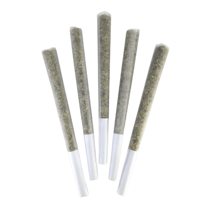 DEALR 2.5 g Super Silver Bubba PR 5 x 0.5 g Pre-Rolls